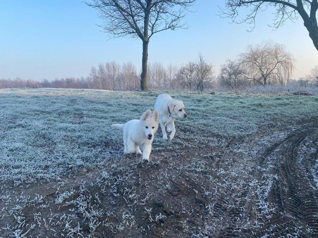 Dom Goscinny Lerka - 240 M2 Mazury Jeziora Lasy Lakorz Exteriér fotografie