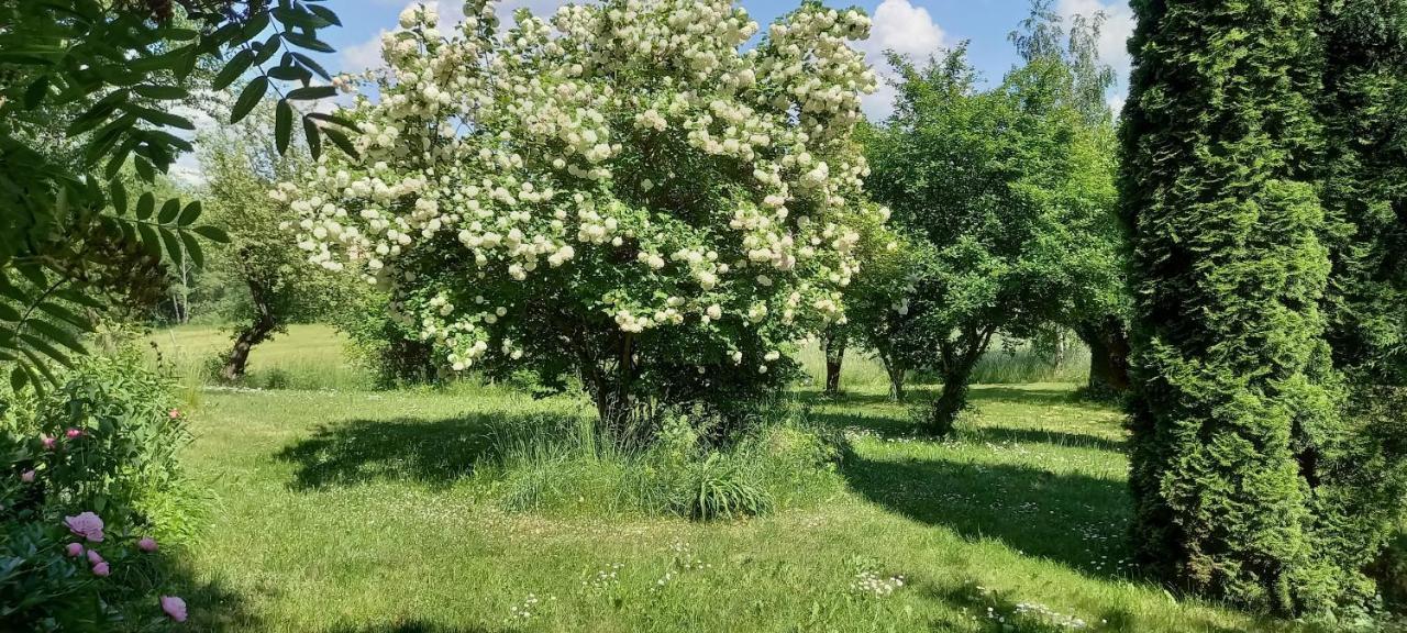 Dom Goscinny Lerka - 240 M2 Mazury Jeziora Lasy Lakorz Exteriér fotografie