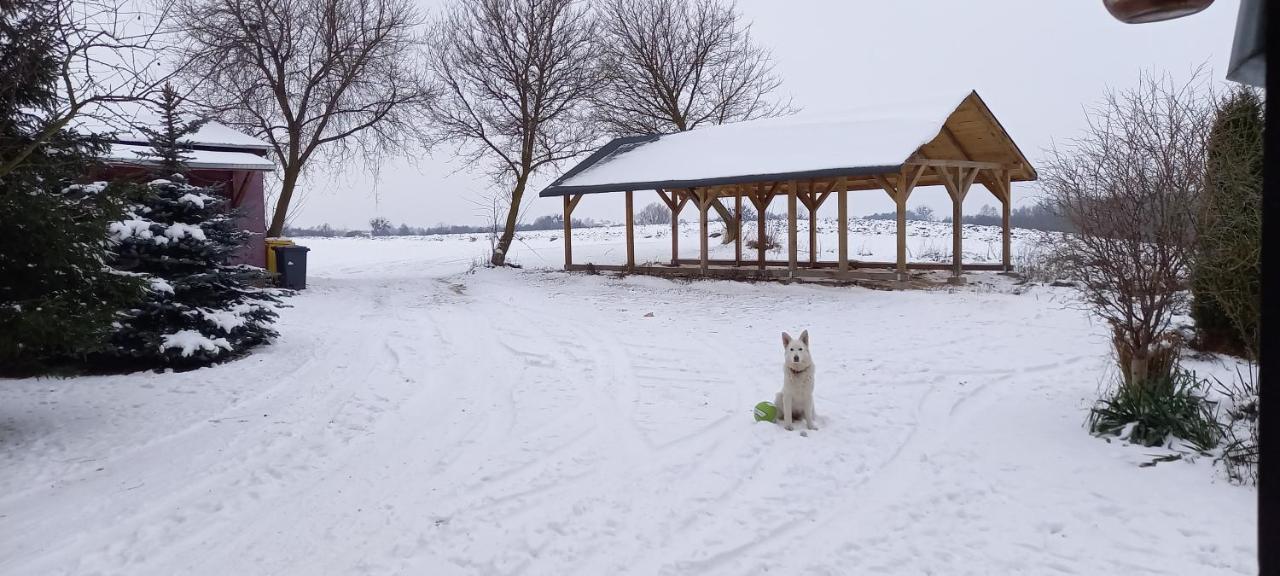 Dom Goscinny Lerka - 240 M2 Mazury Jeziora Lasy Lakorz Exteriér fotografie