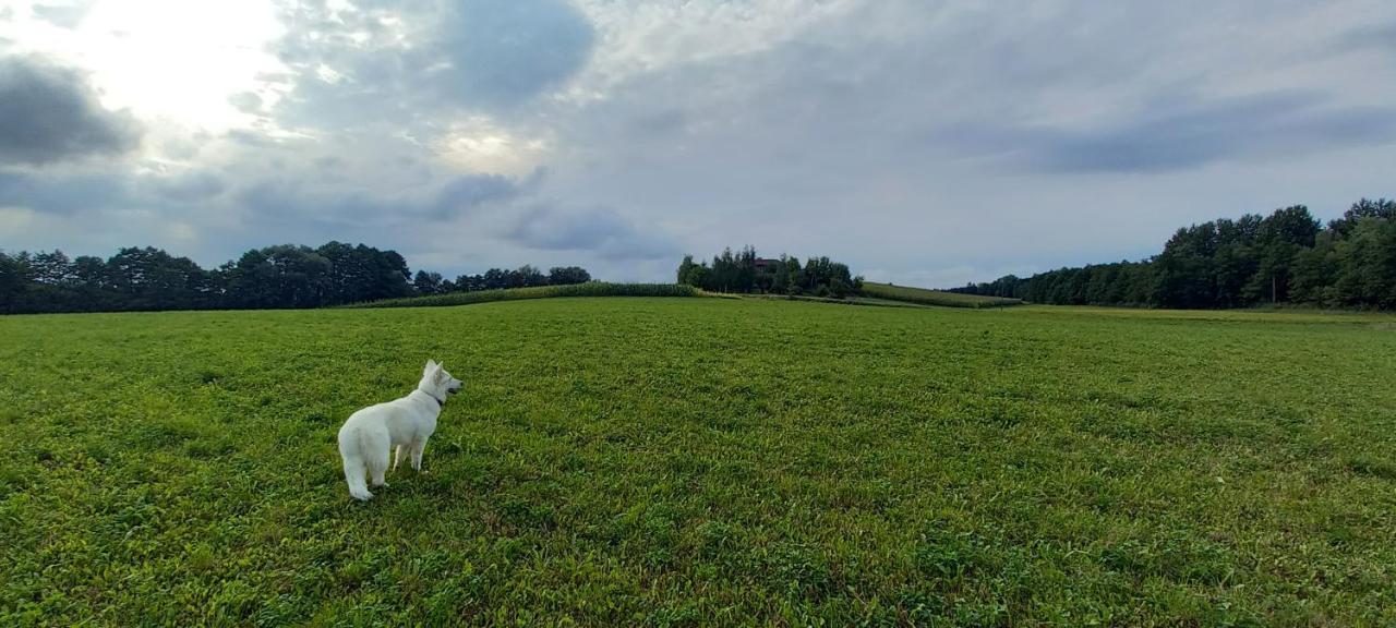 Dom Goscinny Lerka - 240 M2 Mazury Jeziora Lasy Lakorz Exteriér fotografie