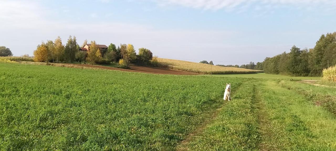 Dom Goscinny Lerka - 240 M2 Mazury Jeziora Lasy Lakorz Exteriér fotografie