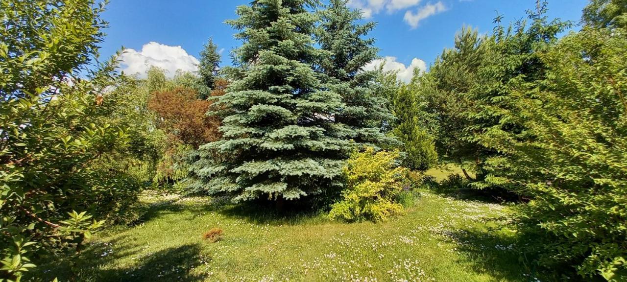 Dom Goscinny Lerka - 240 M2 Mazury Jeziora Lasy Lakorz Exteriér fotografie