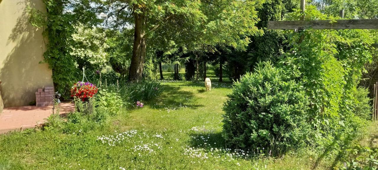 Dom Goscinny Lerka - 240 M2 Mazury Jeziora Lasy Lakorz Exteriér fotografie